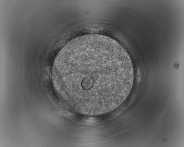 X0000112460467200909281025