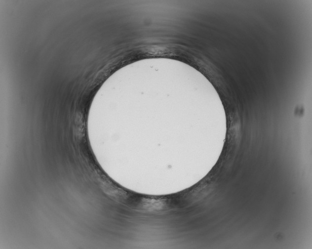 X0000112460469200909281025
