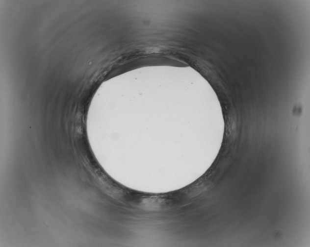 X0000112460470200909281025