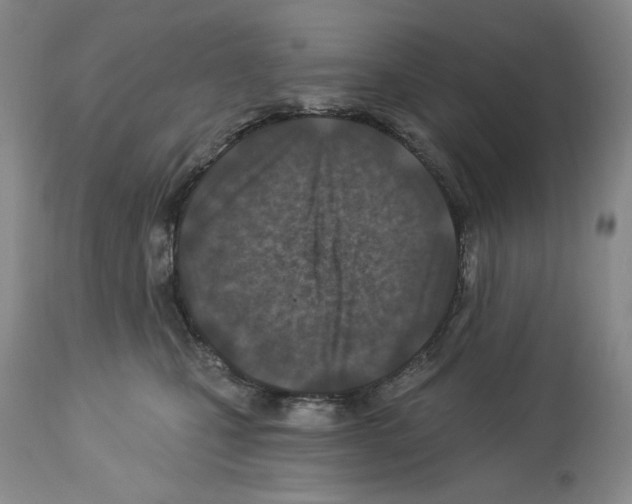 X0000112460471200909281025