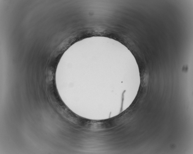 X0000112460472200909281025