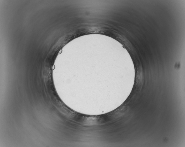 X0000112460473200909281025