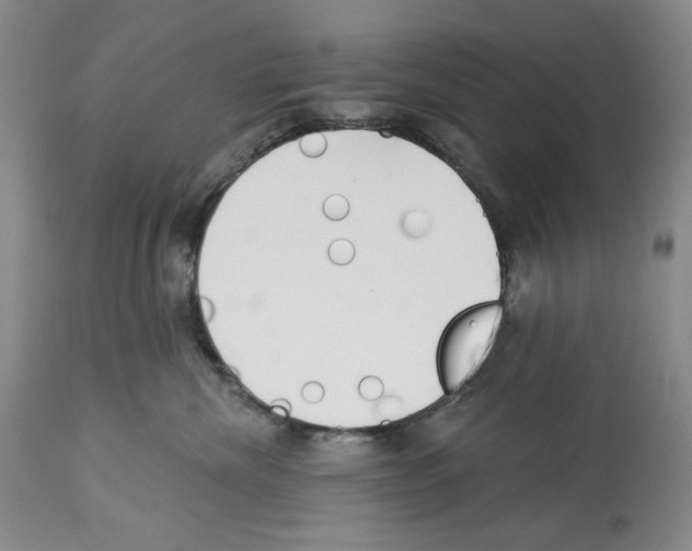 X0000112460476200909281025