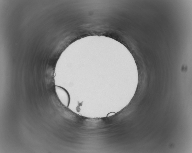 X0000112460480200909281025