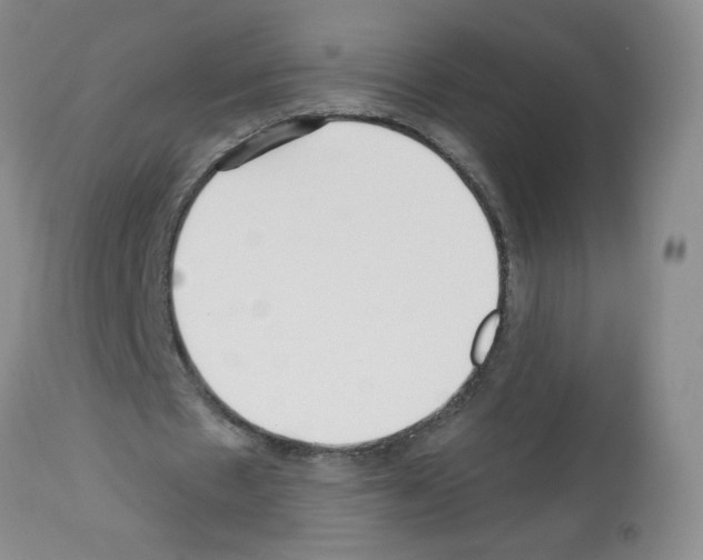 X0000112460481200909281025