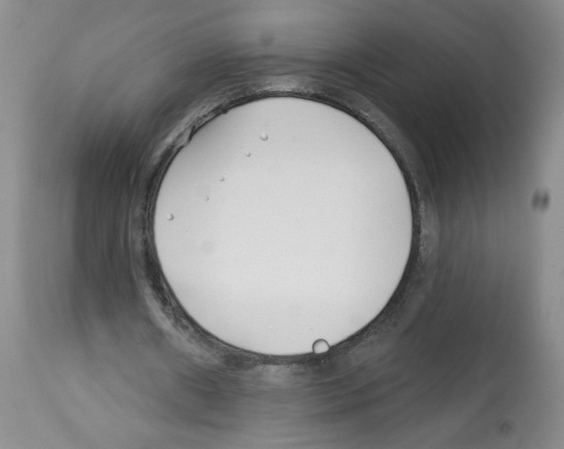 X0000112460482200909281025