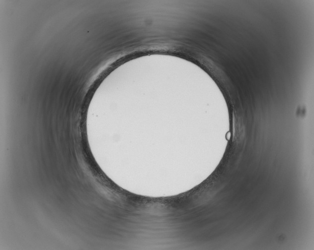 X0000112460483200909281025