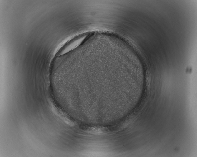 X0000112460488200909281024