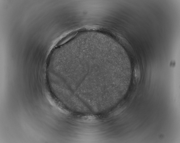 X0000112460492200909281024