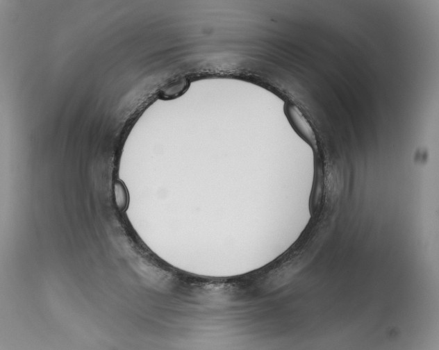 X0000112460493200909281024
