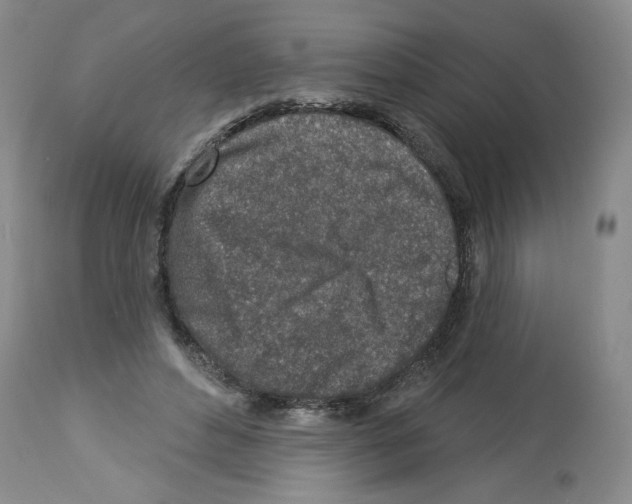 X0000112460496200909281024