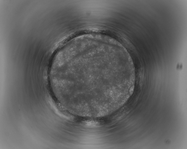 X0000112460500200909281024
