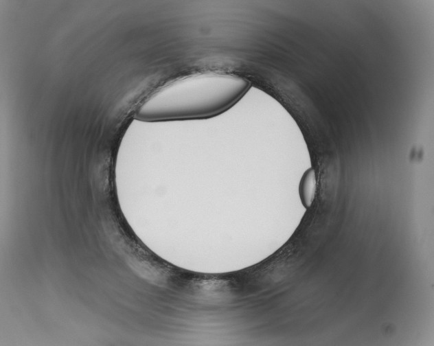 X0000112460501200909281024