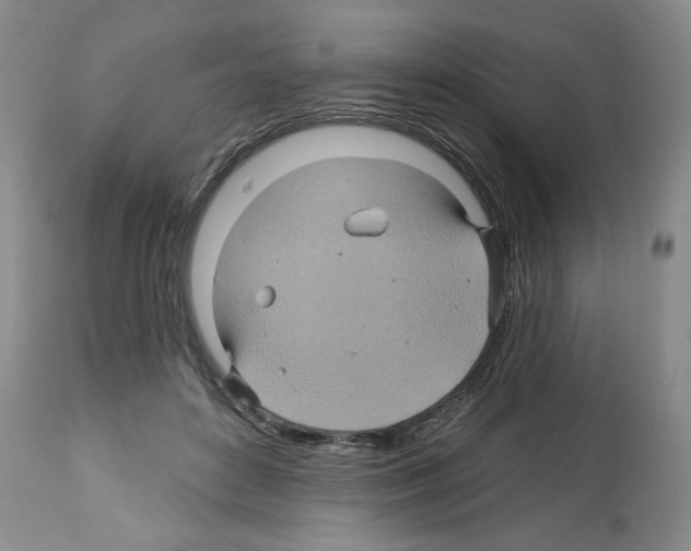 X0000112460504200909281024