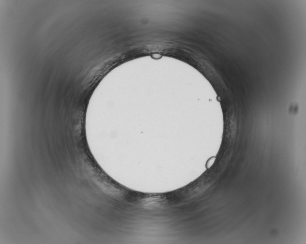 X0000112460505200909281024