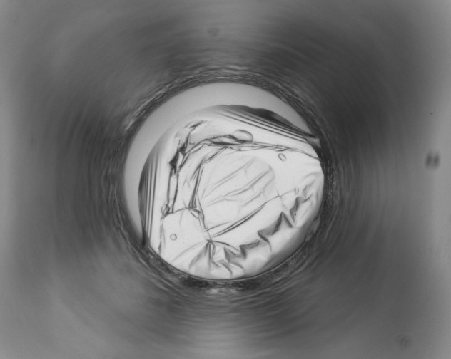 X0000112460508200909281024