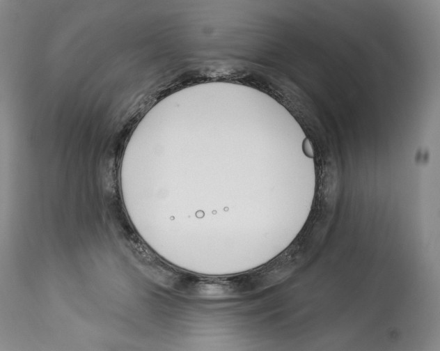 X0000112460510200909281024