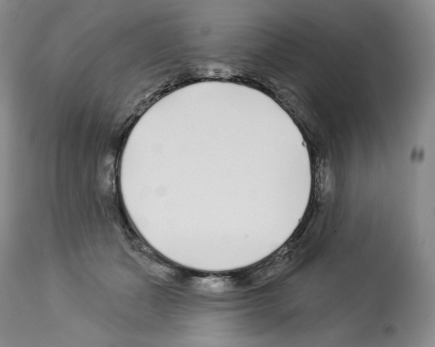 X0000112460511200909281024