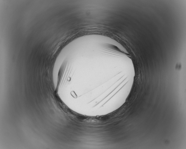 X0000112460512200909281024