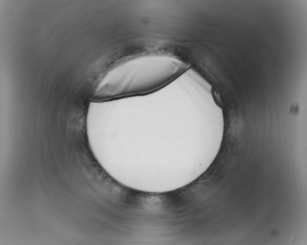 X0000112460513200909281024
