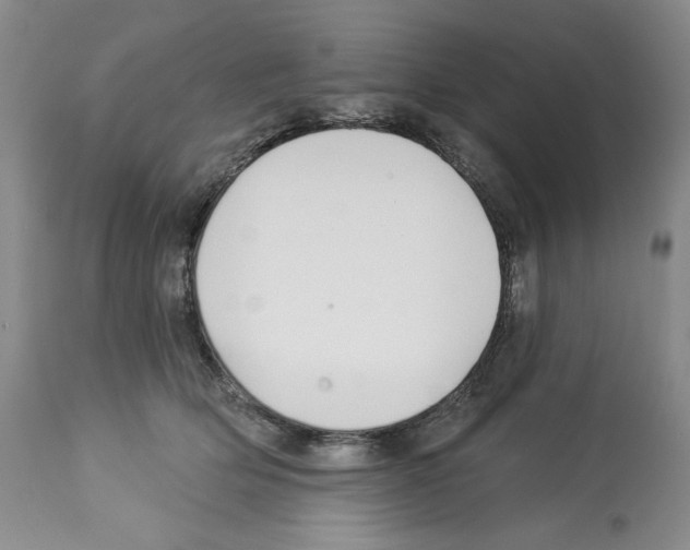 X0000112460514200909281024