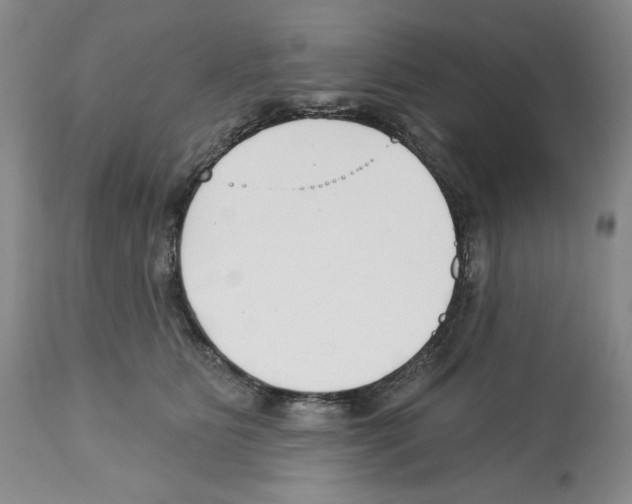 X0000112460515200909281024