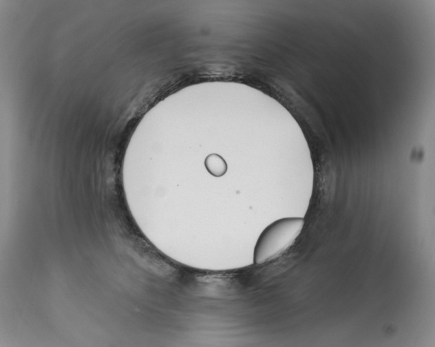 X0000112460516200909281024
