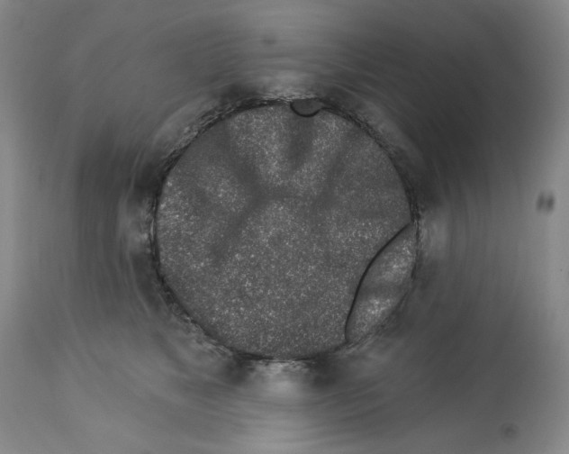 X0000112460517200909281024