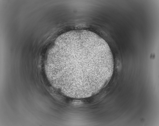 X0000112460519200909281024