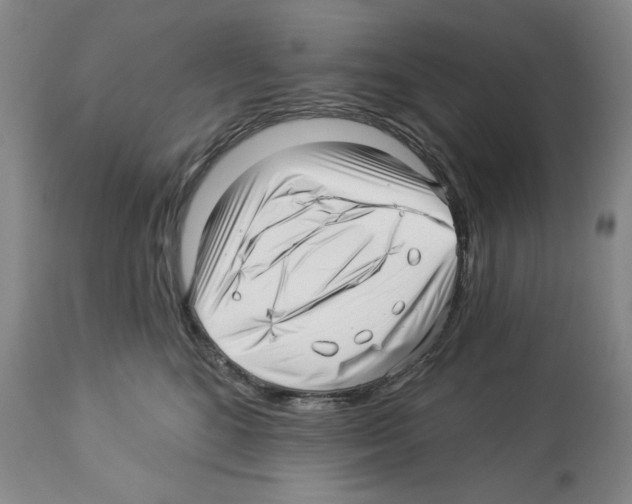 X0000112460520200909281024