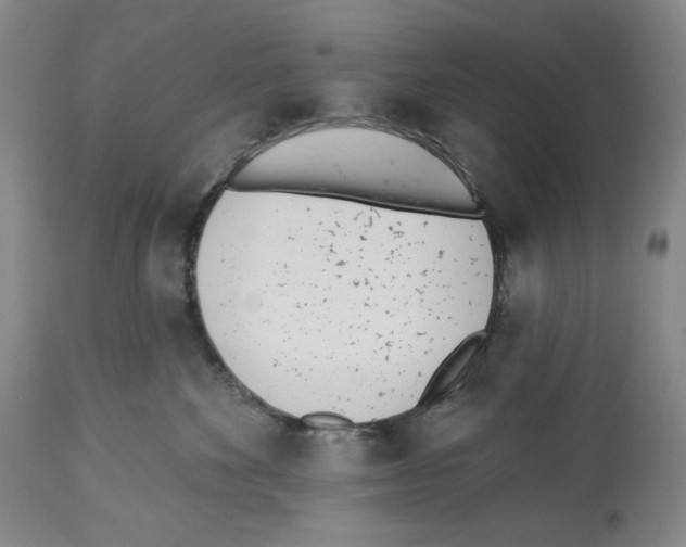 X0000112460524200909281024