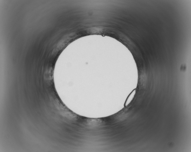 X0000112460525200909281024