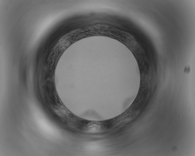 X0000112460526200909281024