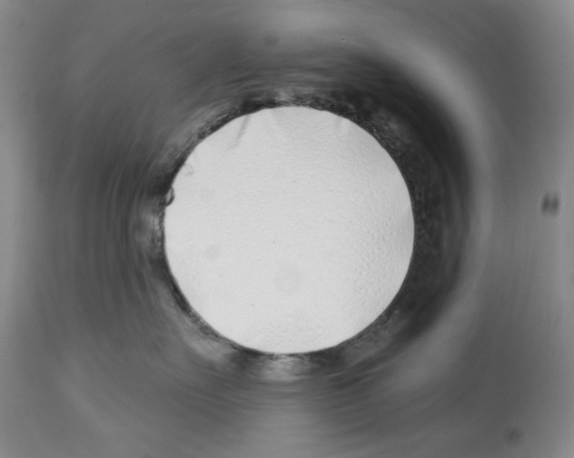 X0000112460527200909281024