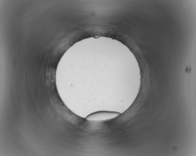 X0000112460528200909281024