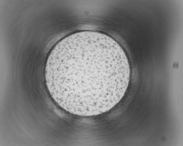 X0000112460529200909281023