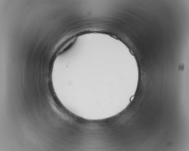 X0000112460530200909281023