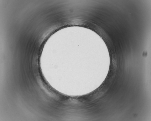 X0000112460534200909281023