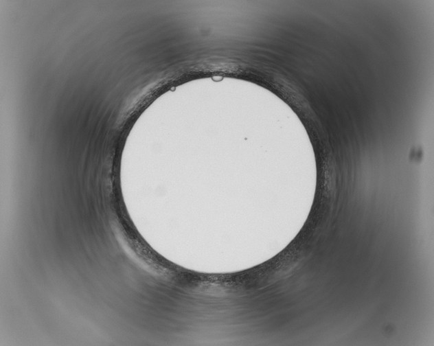 X0000112460538200909281023
