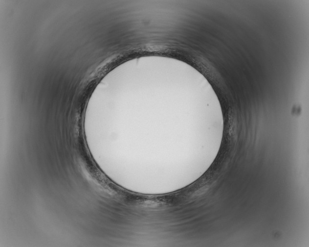 X0000112460542200909281023