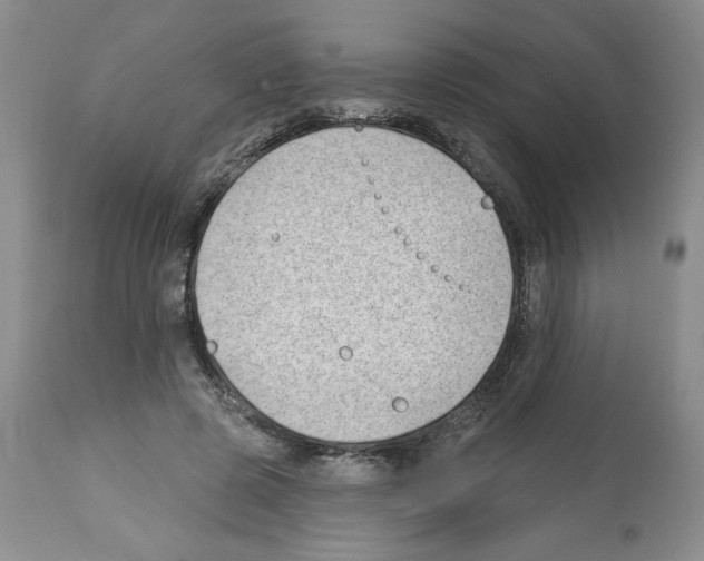 X0000112460545200909281023