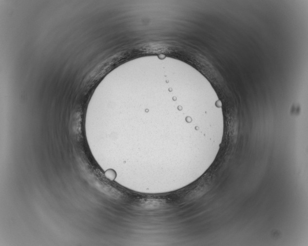 X0000112460549200909281023