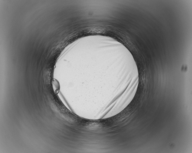 X0000112460551200909281023