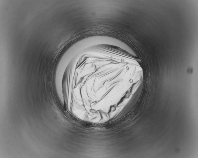 X0000112460552200909281023