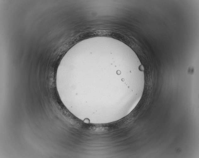 X0000112460553200909281023