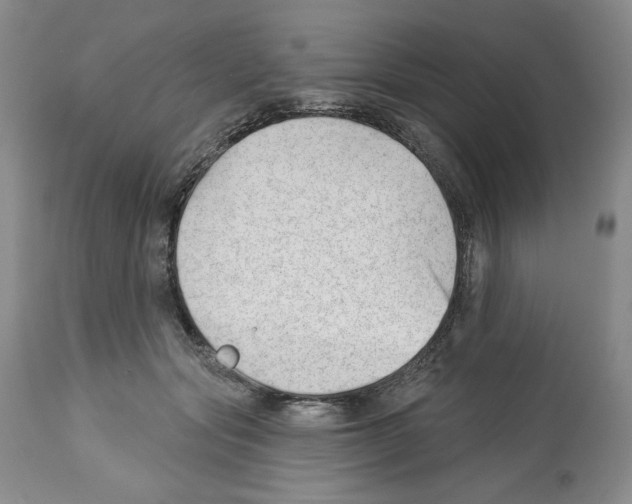 X0000112460557200909281023