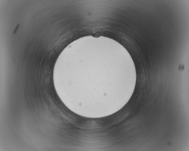 X0000112460558200909281023