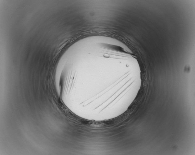 X0000112460560200909281023