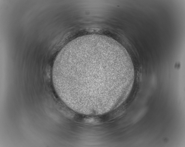 X0000112460561200909281023