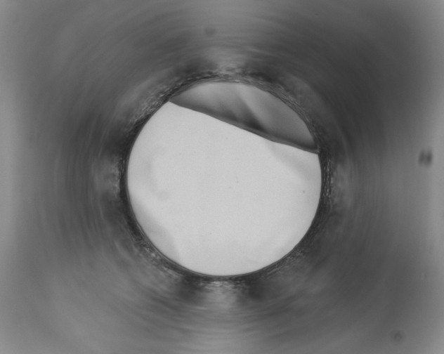 X0000112460562200909281023
